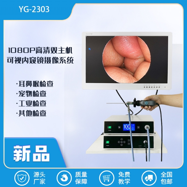 YG-2303